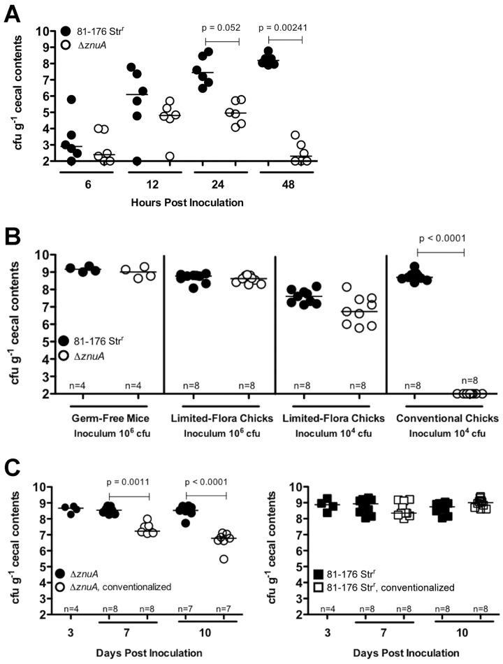 FIG 1 