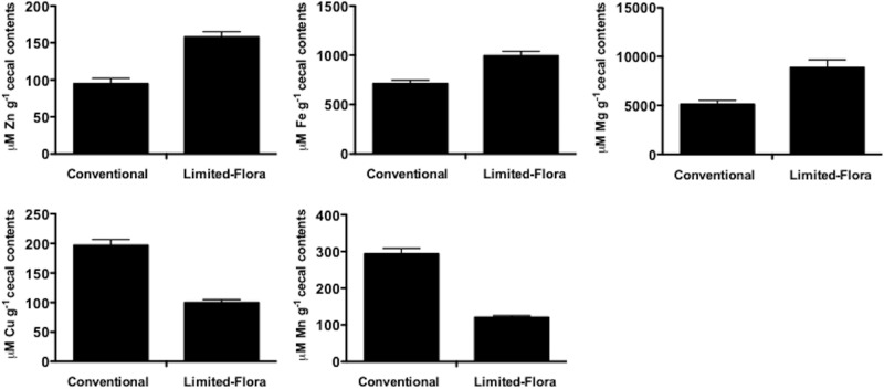 FIG 2 