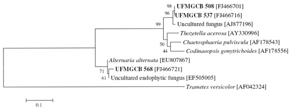 Figure 1