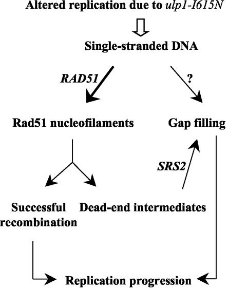 FIG. 9.