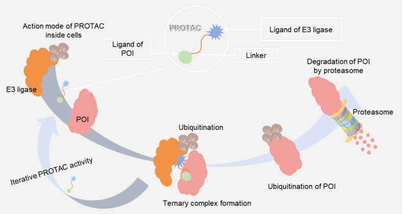 Figure 1