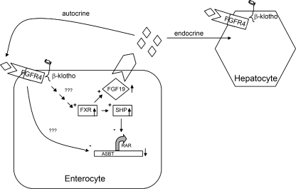 Fig. 8.