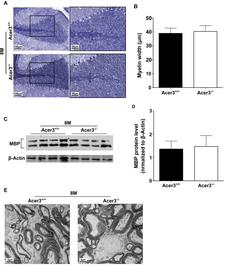 Fig 10