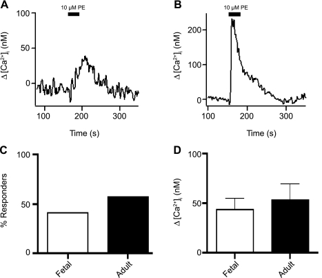 Fig. 10.