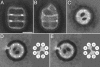 Fig. 1.