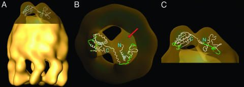 Fig. 3.