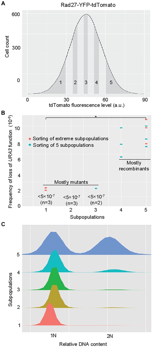 FIGURE 3