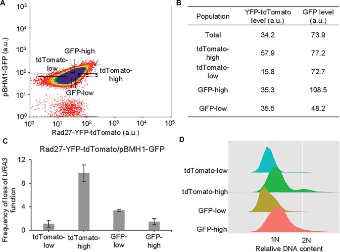 FIGURE 4