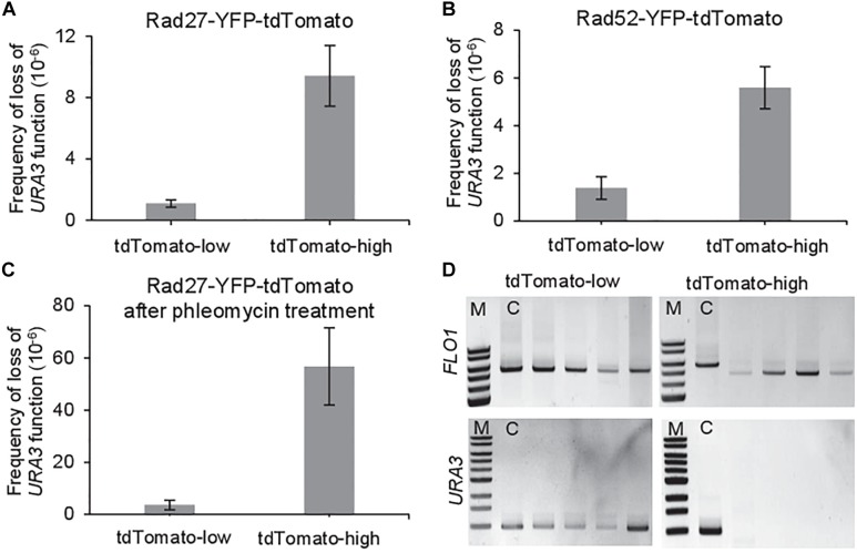 FIGURE 2