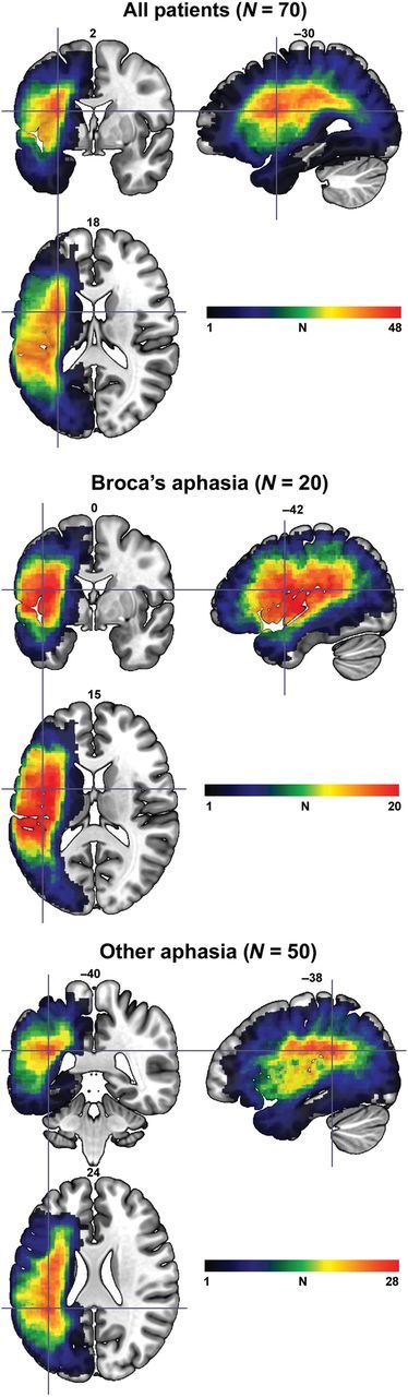 Figure 1.