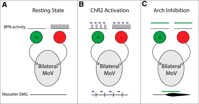 Figure 7.