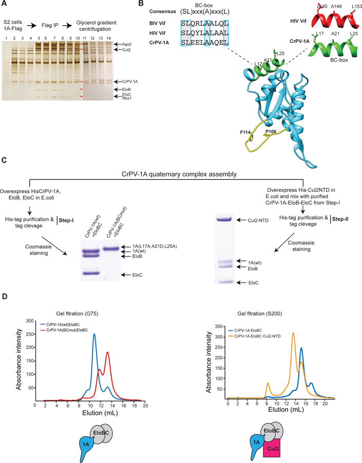 Fig 6: