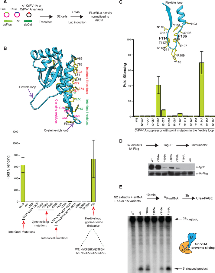 Fig 2: