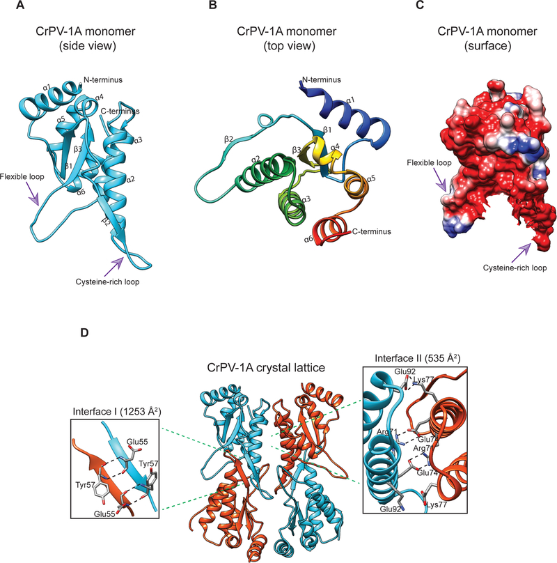 Fig 1: