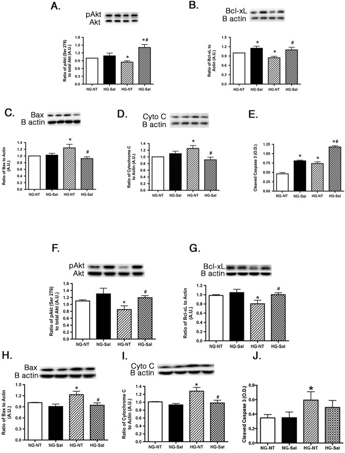 Fig 5