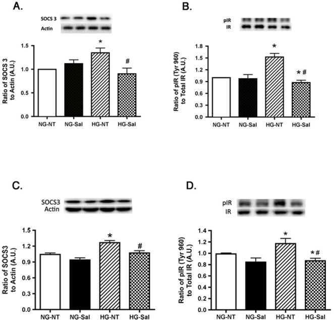 Fig 8