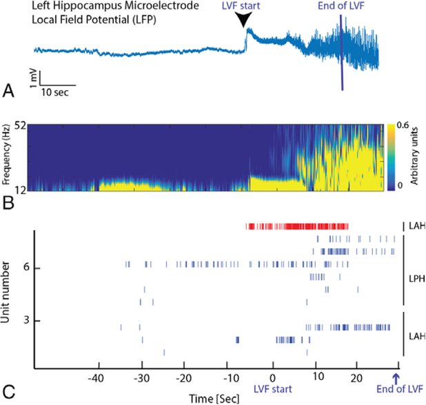 FIGURE 3: