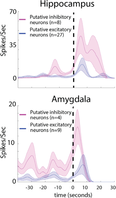 FIGURE 7: