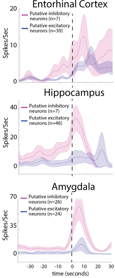 FIGURE 5: