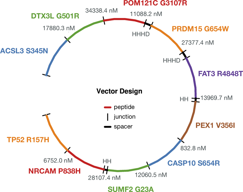 Figure 3: