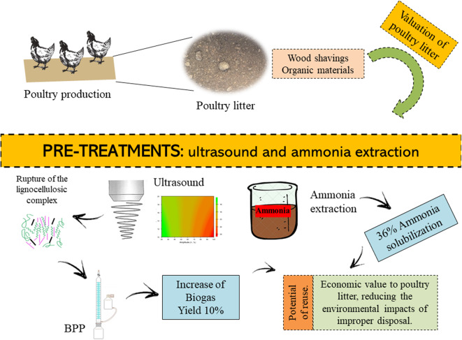 Graphical Abstract