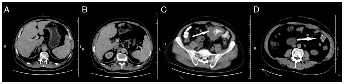 Figure 2.