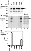 FIG. 7