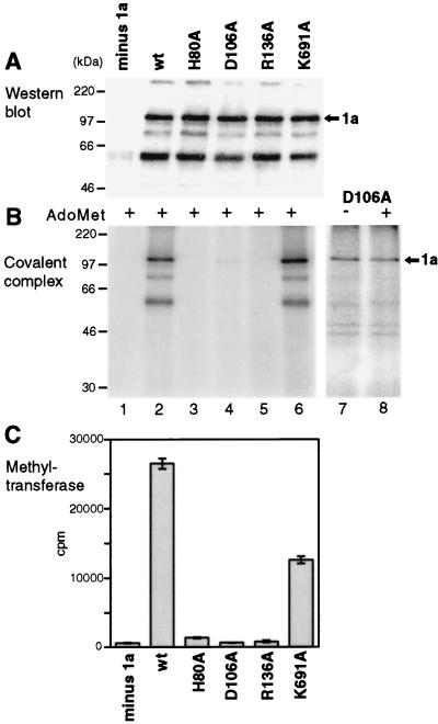 FIG. 7