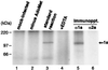 FIG. 8