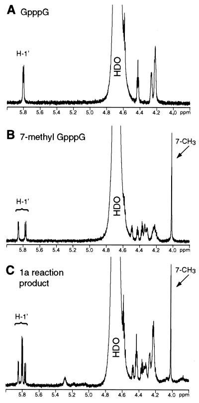 FIG. 6