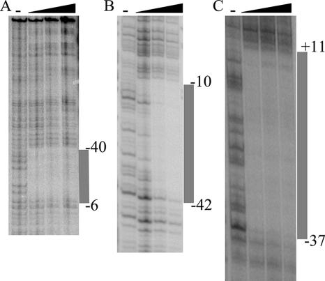 FIG. 5.