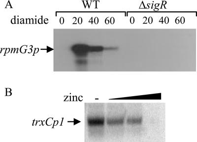 FIG. 7.