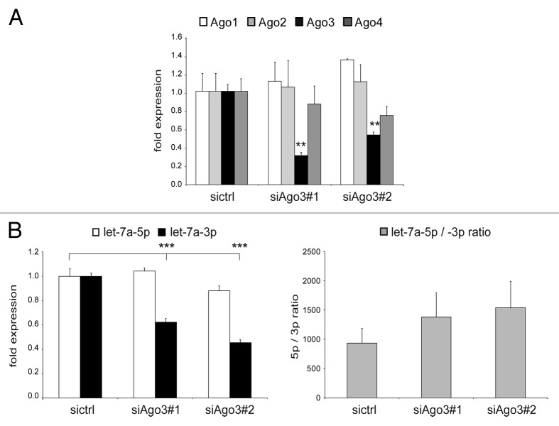 graphic file with name rna-10-1631-g3.jpg