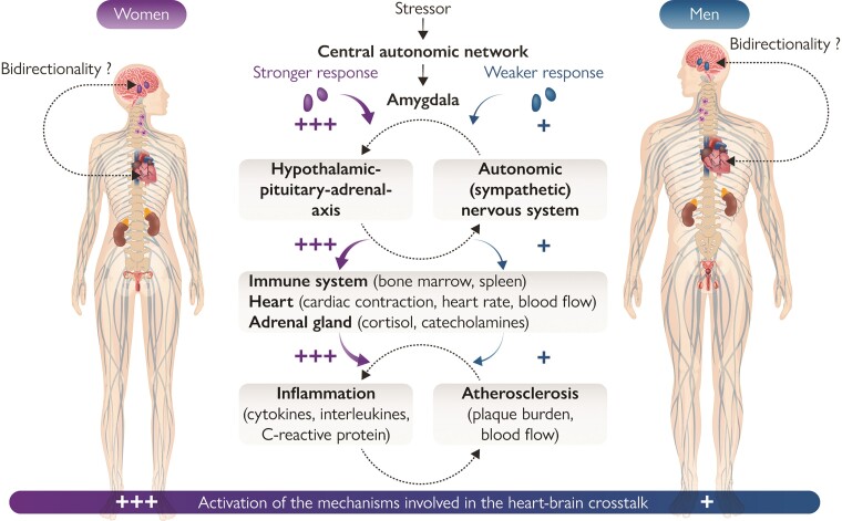 Graphical Abstract