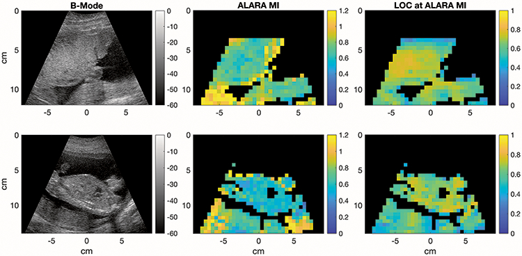 Figure 10.