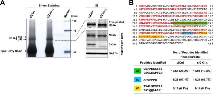 FIG 6