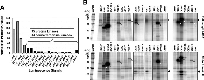 FIG 1