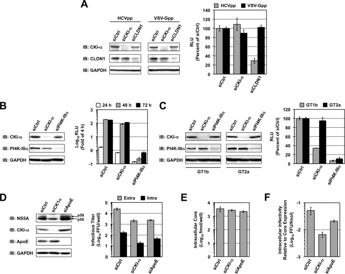 FIG 4