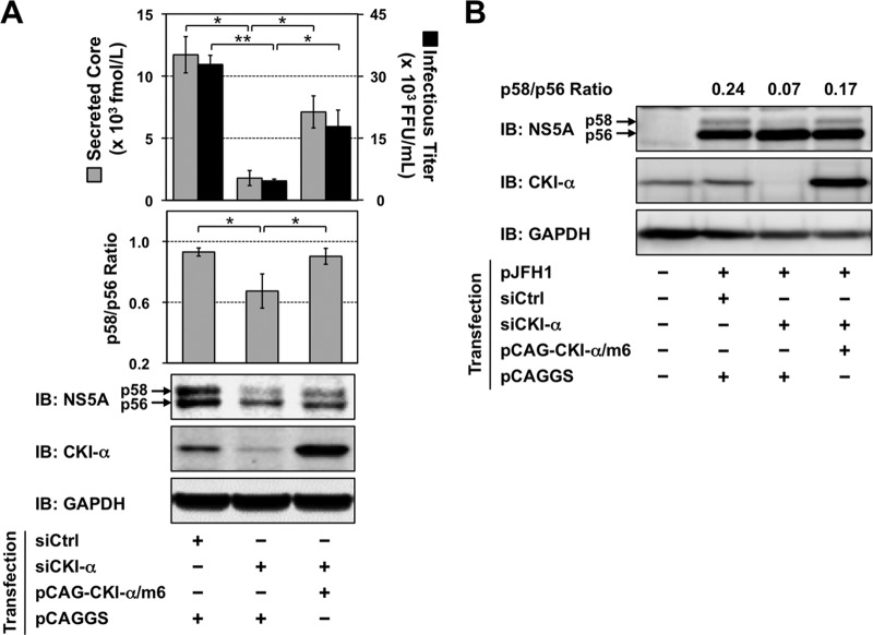 FIG 3