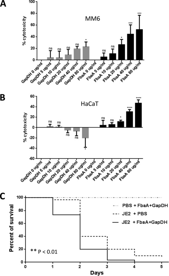 FIG 6