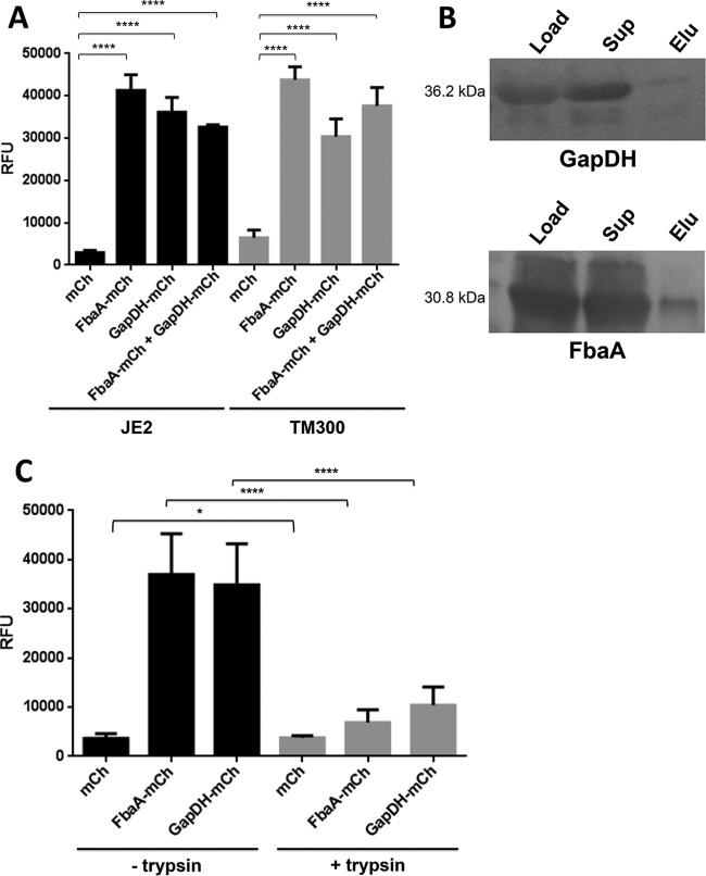 FIG 4