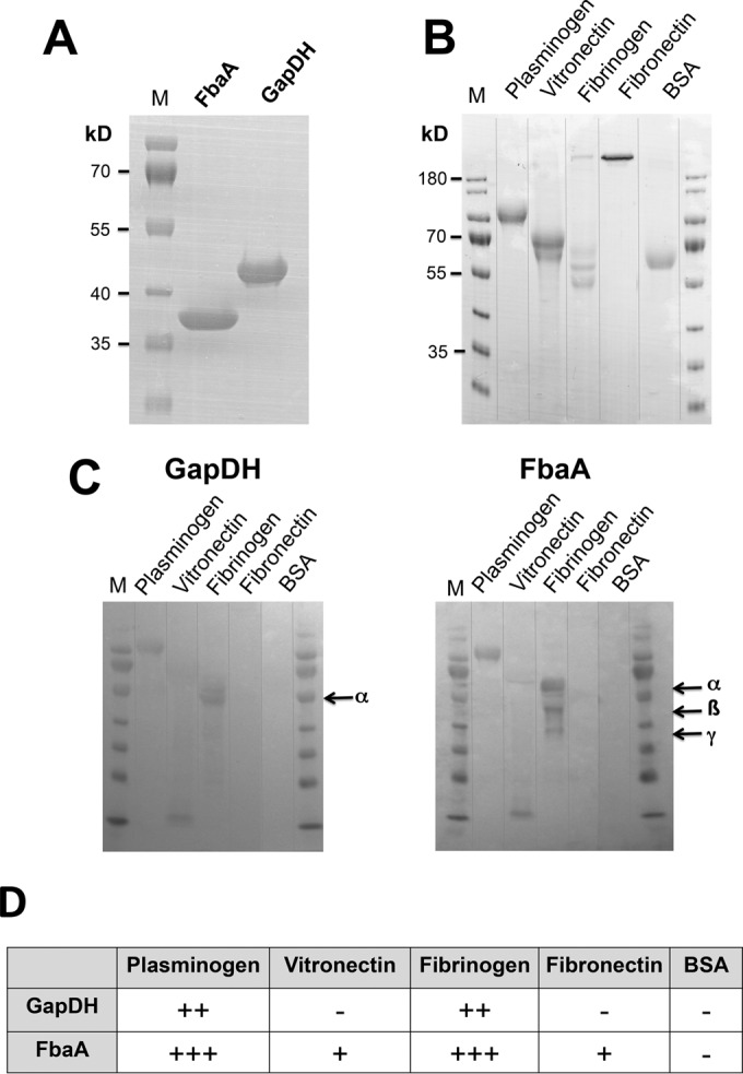 FIG 2