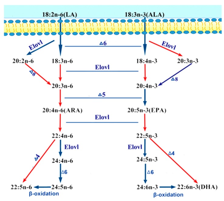 Figure 9