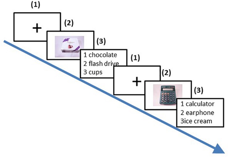 FIGURE 1