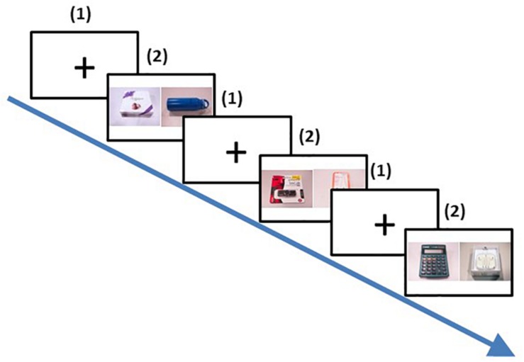 FIGURE 2