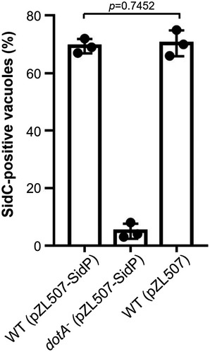 Figure EV3