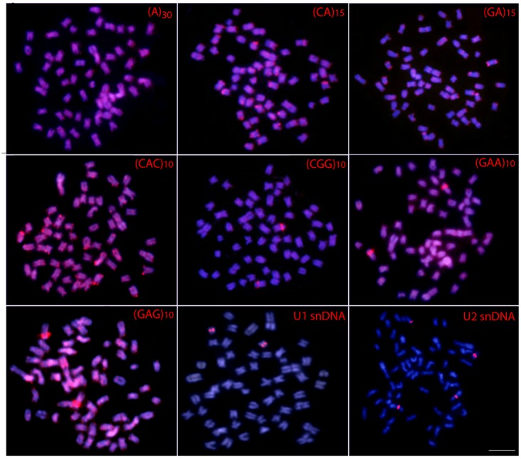 FIGURE 3