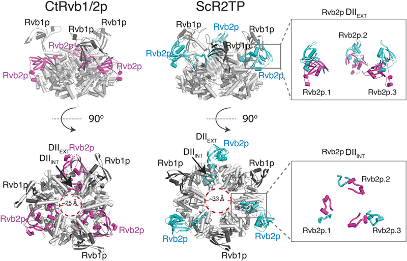 Figure 6.