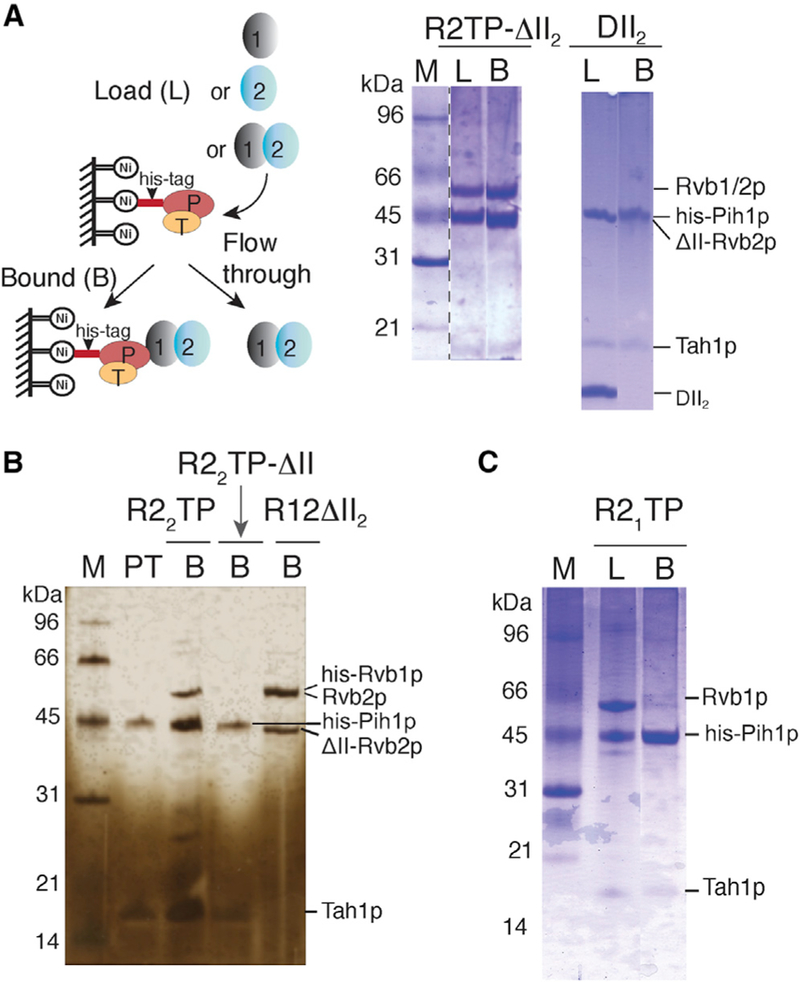 Figure 4.