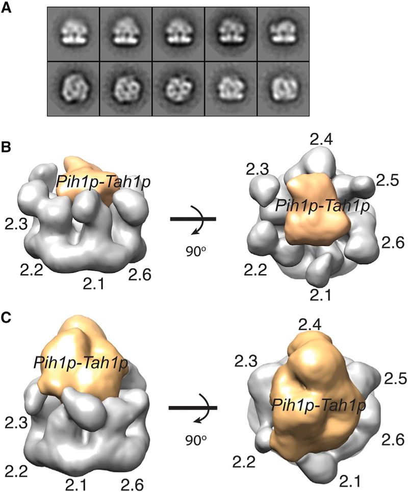 Figure 5.